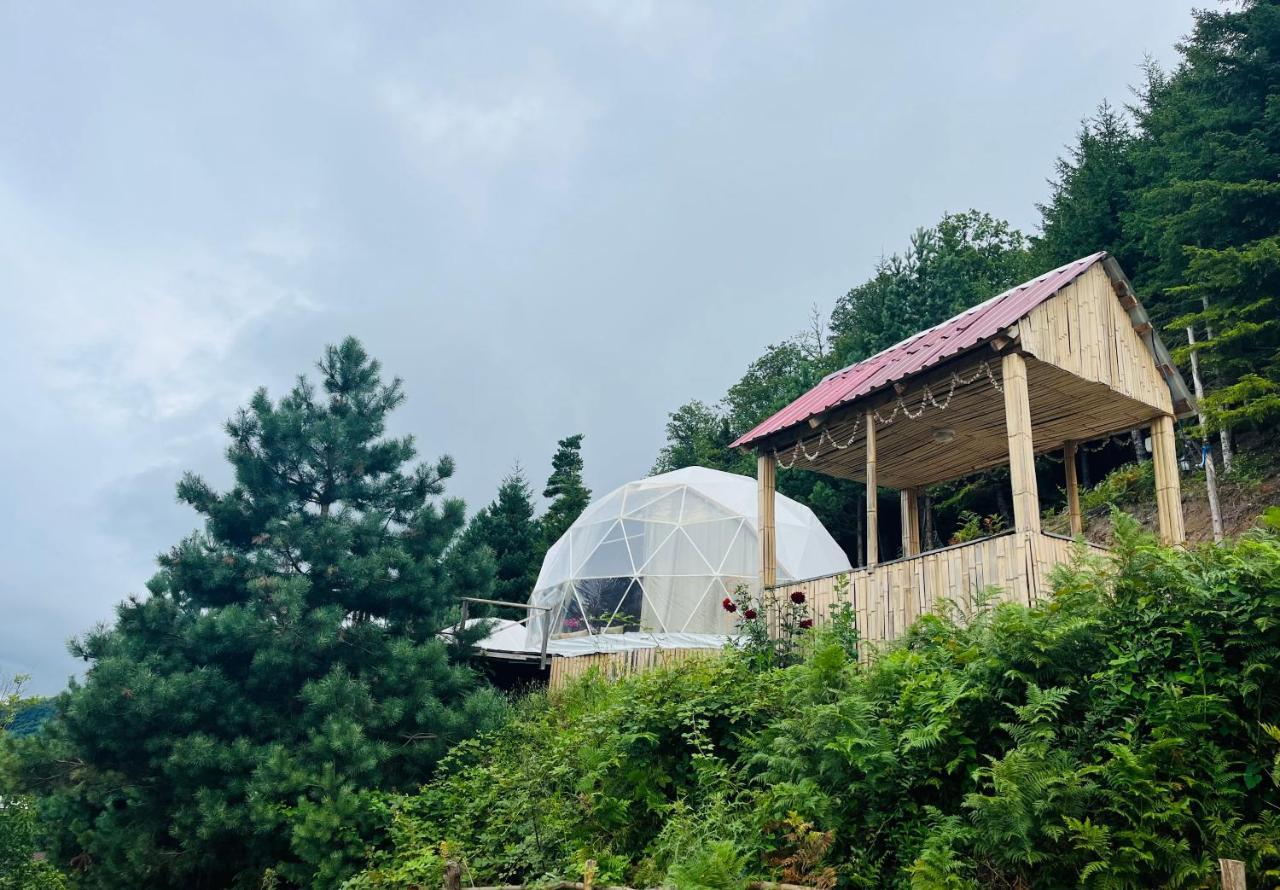 Paradise Inn Gegelidzeebi Экстерьер фото